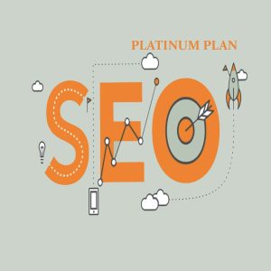 PLATINUM SEO PLAN